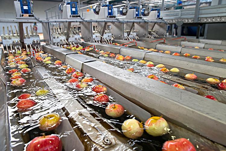 英国食品f695消泡剂应用场景展示图
